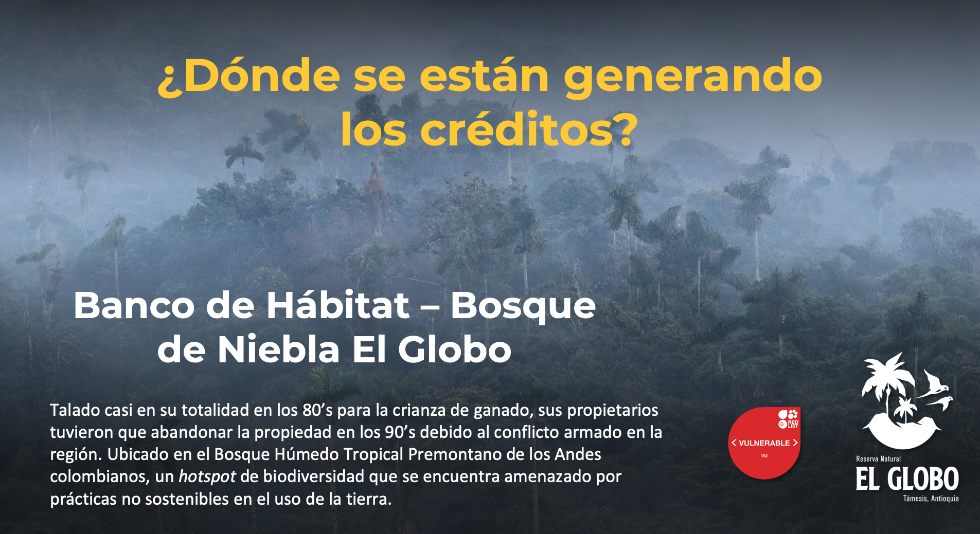 banco-habitat-bosque-humedo